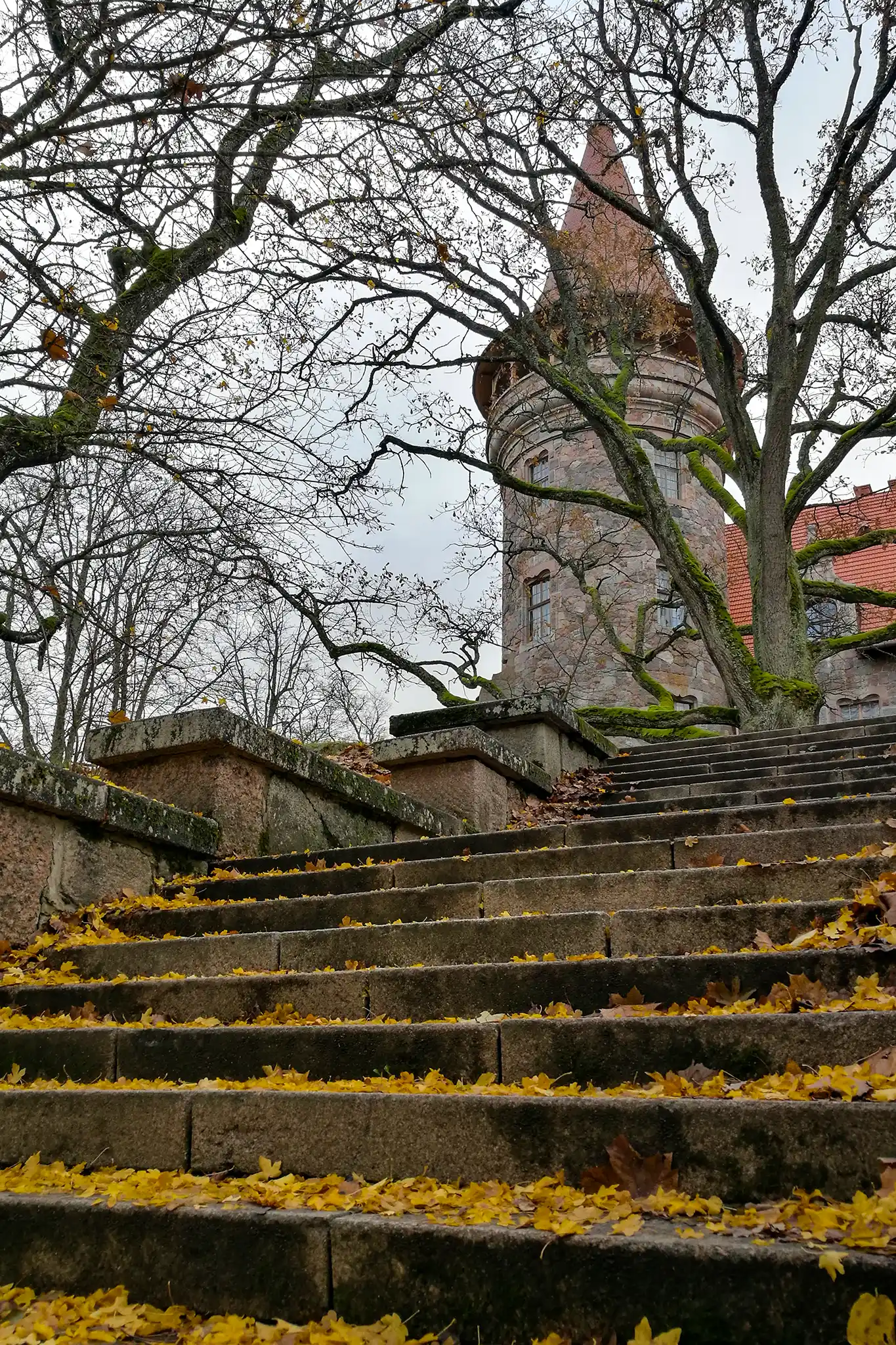 Rudens Vidzemē – Cesvaines pils